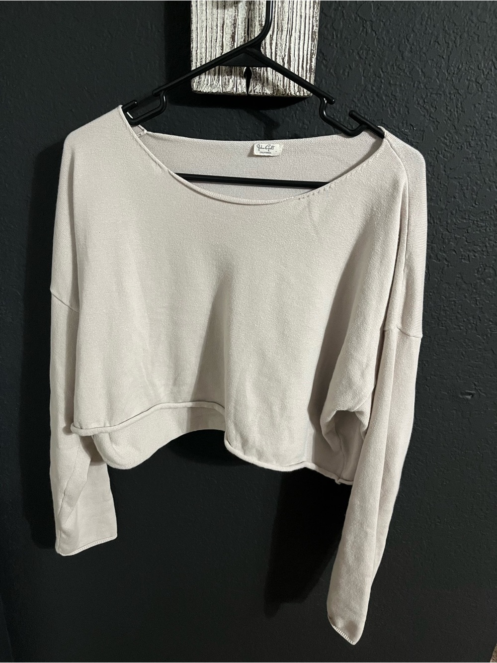 Brandy Melville Cropped Long-Sleeve Top in Light Beige